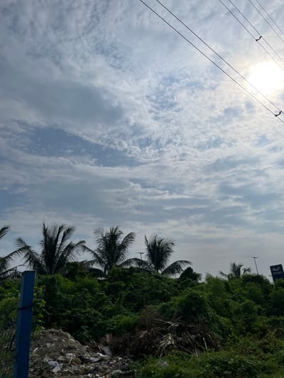 The image depicts a view of a densely vegetated area with palm trees silhouetted against a cloudy sky. The sun is visible in the upper right corner, partially obscured by clouds and power lines. In the foreground, there is a pile of debris and trash, with a blue post and fencing visible on the left. A sign with the word "ENYO" is present in the upper right, suggesting a commercial presence. The overall scene appears to be an outdoor, possibly semi-urban or roadside environment in Ilado, Nigeria. No people are present in the image.