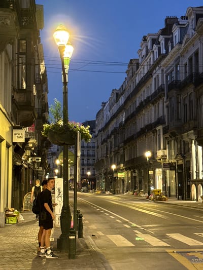 The image depicts a street scene at dusk in Brussels, Belgium. The street is lined with tall, ornate buildings that appear to be a mix of residential and commercial spaces. A prominent lamppost with a hanging flower basket stands in the foreground, illuminated by its own lights. Two young men are standing on the cobblestone sidewalk near the lamppost. The man closer to the camera is wearing a black t-shirt and shorts, and the other man is wearing a white t-shirt and shorts. The street itself is empty except for a few parked cars and some trash bins visible further down. The overall atmosphere is quiet and serene, with the streetlights casting a warm glow on the surroundings.