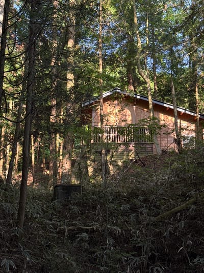 A wooden cabin is visible through the dense forest in Nakatsugawa, Japan. The cabin has a gabled roof, a wooden deck with railings, and appears to be unoccupied. The surrounding forest consists of tall, thin trees and thick undergrowth. The image is slightly rotated, with the top of the frame tilted to the left. The overall lighting suggests it is daytime.