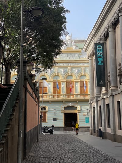 Here's a description of the image:
The photograph captures a view of the Museo de Bellas Artes (Museum of Fine Arts) in Santa Cruz de Tenerife, Spain. The building is framed by the narrow street leading up to it, emphasizing its ornate facade. The museum itself is characterized by pale blue and cream colors, with prominent arched windows and doors. Flags are displayed on the building's facade. A sign with the word "MUSEO" (Museum) is visible above the entrance.
In the foreground, elements of the street are visible, including a section of railing, a lamppost, and paving stones on the walkway. There are a couple of people entering the museum. A motorcycle is parked near the entrance. The sky is visible at the top of the frame.
