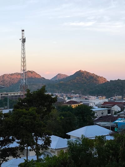 This is a medium-shot, vertical, eye-level photograph of Labuan Bajo, Indonesia, taken during the golden hour. The foreground features lush green trees and the blue, corrugated metal roofs of several buildings. A telecommunications tower stands tall to the left of the frame, with a large building behind it. In the midground, a body of water is visible, dotted with numerous boats of varying sizes. Beyond the water, rolling hills covered in dense green foliage are bathed in the warm, soft light of the setting sun. The sky above is a gradient of soft blues and peaches, with wisps of clouds.