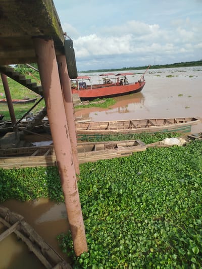 In Yenagoa, Nigeria, a murky river is lined with abundant green aquatic plants, creating a dense carpet on the water's surface. Several wooden canoes are partially submerged and rest near the bank, some appearing worn and weathered. A larger, red boat with a covered canopy is moored in the water further out. The scene is partially framed by the underside of a concrete structure supported by large, reddish-brown metal pillars. A tire is hanging from a chain on one of these pillars, possibly as a fender. In the background, the river widens, with a distant treeline and a hazy sky with scattered clouds.