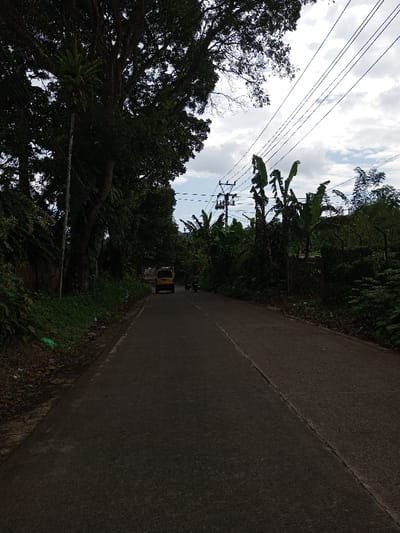 The scene captures a paved, two-lane road extending into the distance in Ariyalai, Sri Lanka, under a partly cloudy sky. Dark asphalt comprises the road surface, with a faded white line marking the approximate center or right edge. Dense green tropical vegetation, including large trees, lines the left side of the road, partially obscuring a utility pole and overhead power lines. A light green plastic bag is visible on the grassy shoulder to the far left. On the right side, lush vegetation, predominantly banana plants, borders the road. A wooden utility pole structure supports multiple overhead power and communication lines crossing the upper portion of the frame. In the mid-ground, a yellow van proceeds away from the viewer, followed by two motorcycles. No human figures are distinctly discernible.