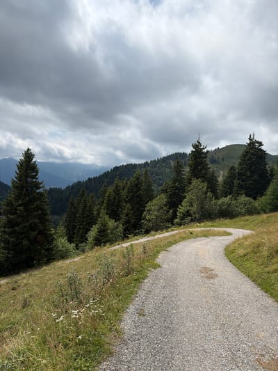 The image depicts a winding, unpaved road made of gravel, curving through a grassy hillside dotted with wildflowers and some taller shrubs. The road is in the foreground and extends into the mid-ground. On the left side of the road, the terrain slopes upwards, covered in grass and vegetation. Further back, a dense forest of dark green coniferous trees blankets the slopes of hills, with a valley and distant, misty blue mountains visible beyond. The sky above is heavily overcast with dark, textured clouds, suggesting a cloudy or possibly stormy day. The overall scene is a natural, mountainous landscape, likely in a rural or wilderness area. The location is identified as Sauris di Sopra / Plozn / Sauris Disore, Italy. There are no people or animals visible in the image.