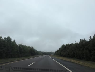 The image depicts a two-lane highway on an overcast day, bordered by dense coniferous forests on both sides. The road is asphalt with white lane markings. In the distance, a few vehicles are visible, and there are roadside guardrails. The sky is a uniform gray, suggesting cloudy or foggy conditions. The scene appears to be a rural or semi-rural setting, consistent with a highway running through a forested area in Canada, possibly in or near Cardwell Parish, New Brunswick, given the prevalence of such landscapes in that region. No people are clearly visible.