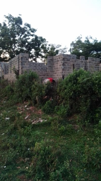 The scene in Siaya Township ward, Kenya, depicts a partially constructed building composed of grey concrete blocks, lacking a roof and appearing unfinished. In the midground, situated in front of the structure and partially obscured by dense green foliage, a dark-colored barrel or drum is visible, draped with a piece of red fabric. The foreground consists of unkempt ground covered in green vegetation and scattered debris. Tall trees line the background beneath a bright, possibly overcast, sky. No individuals, actions, or interactions are visible.
