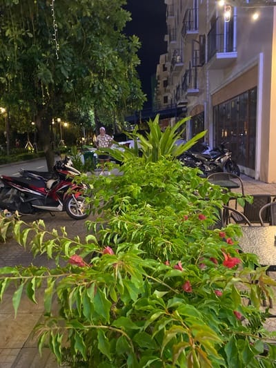 A man in a white cap and patterned shirt stands on a sidewalk in Phú Quốc, Vietnam, with his hands on his hips, looking towards the left. In front of him are two parked motorbikes. The foreground is dominated by lush green foliage with some pink flowers. Behind the foliage, a building with multiple balconies and windows is visible, illuminated by lights. String lights are also draped across a large tree to the left of the frame, and other streetlights are present. The scene appears to be set at night on a street with a paved sidewalk and road.