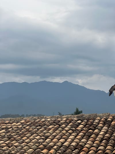 A partially obscured view from a rooftop in Gracias, Honduras, with the tiled roof of a building taking up the right side of the frame. The foreground tiles are a weathered orange-brown color, running in parallel lines. Beyond the roof, the middle ground features a muted blue mountain range under a cloudy sky. The left side of the image shows a broad expanse of pale gray clouds, with the sky and mountain range partially obscured by haze.
