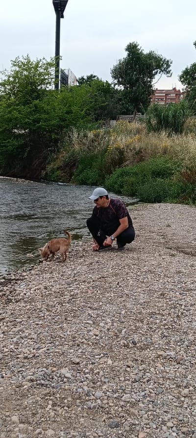 A man wearing a grey cap, black patterned t-shirt, black trousers, and a wristwatch is crouching on a rocky beach area next to a river. A small, light brown dog is at the edge of the river, appearing to drink or sniff at the water. The river flows from left to right. Behind the man and the dog is dense vegetation, including trees and tall grasses. Further in the background, there is a building visible on the right and a tall metal structure on the left. The sky is overcast. The location is Ripollet, Spain.