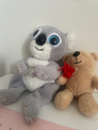 This is a close-up, indoor photograph featuring two plush toys. In the foreground, a grey plush toy resembling a koala lies on its back, facing the viewer. It has large, sparkly blue eyes, a black nose, and a smiling mouth. Its body is primarily grey with white accents on its belly and ears. In the background, a tan-colored plush bear is positioned above the koala, also lying on its back. The bear has black embroidered eyes and a stitched mouth. A small, crumpled red decoration, possibly a bow or a flower, is attached to the bear's neck area. The toys are placed against a textured, off-white surface that appears to be a wall. To the right of the toys, a portion of a pink paper or card with some faint, unreadable text is visible, suggesting the toys might be displayed or placed on a surface with other items. The lighting appears to be artificial, typical of an indoor setting. The overall mood is playful and childlike due to the presence of the stuffed animals. No specific time of day, weather, or strong emotional cues are discernible beyond the cheerful appearance of the toys. The location context provided is Nowogard, Poland.
