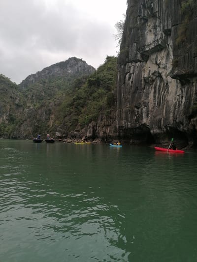 This image presents a scenic view of a body of deep green water nestled among dramatic limestone karsts, characteristic of Ha Long Ward, Vietnam. The sky is overcast and uniformly grey, casting a soft, diffused light over the landscape.
Several people are engaged in water activities. In the midground, a person in a bright red kayak actively paddles. Nearby, another individual sits in a light blue kayak. Towards the left shore, two traditional Vietnamese boats, each carrying passengers, are positioned closer to the rocky base of a karst. Further in the distance on the left, a cluster of yellow kayaks is visible near the shoreline. The towering karsts exhibit rugged, stratified rock faces with vertical fissures, sparsely covered by green vegetation on their slopes and peaks.
The scene captures a moment of leisure and exploration, with visitors experiencing the unique natural beauty of the bay through kayaking and boat tours. The calm water and imposing rock formations contribute to a tranquil yet awe-inspiring atmosphere. There is no visible text in the image.