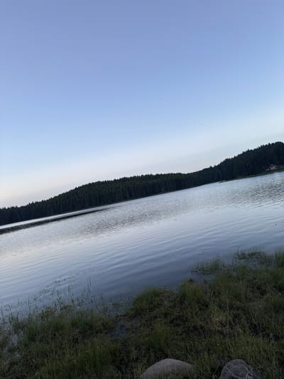 This is a landscape image of a serene lake scene in Sarnitsa, Bulgaria. The image is captured in portrait orientation and is rotated 90 degrees counterclockwise, so the water is on the right side of the frame and the sky is on the left.
The subjects include a calm lake with gentle ripples reflecting the sky, a dense forest of dark green evergreen trees lining the distant shore, and a grassy embankment with large rocks on the near right side of the frame. A small, rustic building is visible nestled within the trees on the far shore, suggesting a secluded or natural setting.
The scene depicts a peaceful, natural environment. The time of day appears to be either early morning or late evening due to the soft, diffused light illuminating the sky, which is a pale blue with a hint of warmth towards the horizon. The weather seems calm, with no indication of wind or rain. The location cues, such as the specific type of trees and the presence of the lake, point to a natural, possibly mountainous or forested area. There is no text visible in the image. The overall mood evoked is one of tranquility and natural beauty.