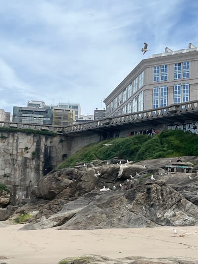 This media file captures a coastal urban landscape, likely in A Coruña, Spain, as indicated by the context. The scene is dominated by a rugged rock face or cliff on the right, which slopes down to a sandy beach on the far right. The cliff is a mottled grey and brown, with patches of green vegetation clinging to its surfaces.
Numerous white gulls are a prominent feature of the image, with many perched on the ledges and crevices of the rock face. Several gulls are also captured in various stages of flight across the sky and near the cliff.
To the left of the cliff, a large, modern grey building with multiple levels and a grid of square, blue-tinted windows stands prominently. Further into the background on the left, other city buildings are visible, some appearing residential, and one in the mid-ground shows scaffolding, indicating construction or renovation. An elevated walkway or road runs along the base of the tall building, bridging towards more distant city structures.
On a flatter section of the cliff, towards the upper right-center, a small platform or structure with railings is visible, possibly a viewing area or part of an establishment. At least one person is discernible on this platform.
The sky is a bright, light blue with scattered white clouds, suggesting daytime with either clear or partly cloudy weather. No legible text is visible in the image. The overall impression is one of a vibrant coastal city where urban development meets natural rock formations and a beach, with abundant birdlife.