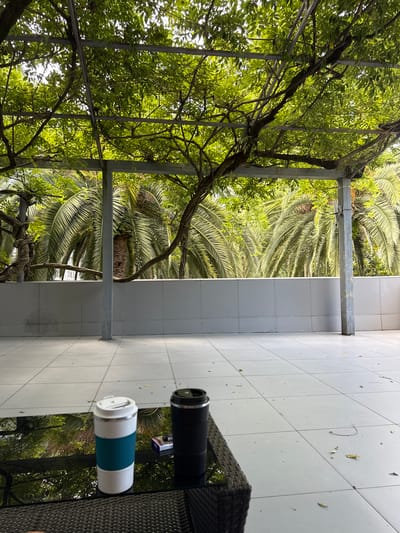 The image depicts an outdoor seating area with a black wicker table in the foreground. On the table are two beverage containers: a white and turquoise travel mug and a black travel mug. A pack of cigarettes lies between them. The table is positioned on a tiled patio. In the background, a grey tiled wall separates the patio from an area with numerous palm trees. Above, a metal pergola structure is covered with lush green foliage, with branches extending across the frame. The scene appears to be a tranquil outdoor space, possibly a cafe or restaurant terrace in Gagra, Abkhazia, given the presence of palm trees which are characteristic of the city's subtropical climate.