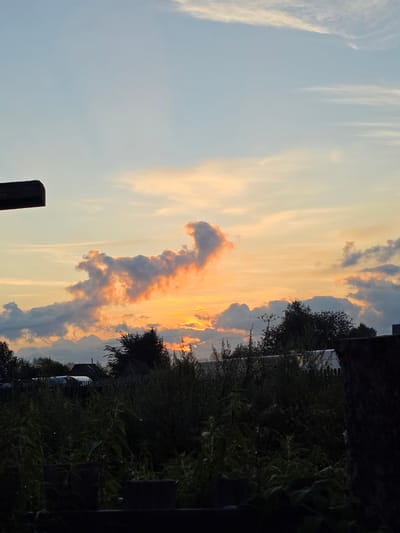 This is a vertical, eye-level shot of a sunset over the village of Burenka, Russia. The sky is filled with hues of orange, yellow, and blue, with clouds scattered throughout. A wooden beam is visible in the upper left corner. In the middle ground, silhouetted trees and buildings suggest a rural setting. The foreground is dominated by dark, shadowy vegetation, with hints of fences or wooden posts. The lighting indicates either dawn or dusk.