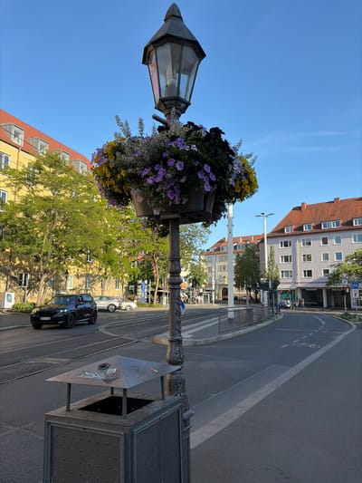 A street scene in Würzburg, Germany is captured in this image. In the foreground, a decorative lamppost is adorned with a hanging basket of purple and yellow flowers. Beside the lamppost is a dark-colored trash receptacle with a conical lid. The street, with tram tracks visible, curves to the right. A black SUV is driving on the left side of the road, followed by two other cars. Across the street, there are several buildings with red-tiled roofs and multiple windows. Trees with green foliage line the sidewalk in front of the yellow building on the left. The sky is clear and blue. A bicycle lane is marked on the road.