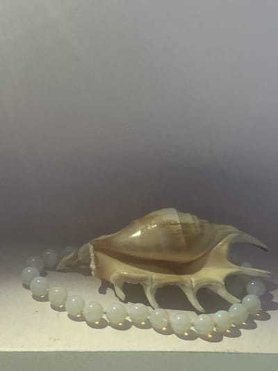 A conch shell rests on a flat, light-colored surface, partially encircled by a strand of small, round, pale beads. The shell is a pale, iridescent color with a rough texture and prominent spines along its edge. The background is a gradient of light gray to darker gray, with a soft diffusion of light creating a hazy atmosphere. The scene is lit from the front, casting shadows from the shell and beads onto the surface. The location in Lobacheve, Ukraine, is not visually discernible from the image.