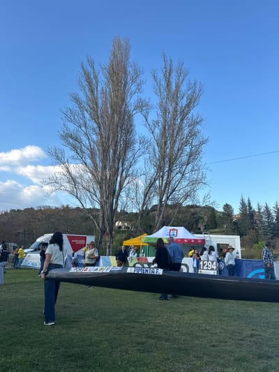 The image displays an outdoor event scene in Mirandela, Portugal, under a clear blue sky with sparse white clouds and a faint contrail. The foreground and mid-ground consist of green grass. Two prominent, tall deciduous trees with bare branches stand centrally, flanked by further trees and hilly terrain in the background, where distant structures are visible.
In the mid-ground, a long, dark racing canoe or kayak hull is positioned horizontally, displaying "PORT," a sports logo, and "PIMENTA F." on its side. A person with dark hair, wearing a light top and dark trousers, stands with their back to the camera, positioned to the left of the canoe's visible portion.
To the right of the central trees, a white event tent with a red logo and blue lettering is erected, next to a yellow-green tent. A sign displaying "1294" is affixed near the white tent. A blue banner with white text and logos stretches across the mid-ground behind the canoe and tents, serving as a boundary or backdrop. Further left, a white van with "Publicidade Exterior" text is parked behind another white banner with red text.
Approximately 20-30 individuals are dispersed throughout the scene, gathered around the tents and banners, observing or participating in the event. Their attire is casual. No specific interactions are clearly discernible beyond general congregation.