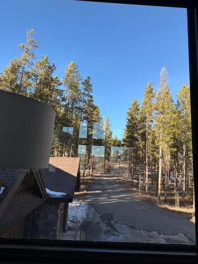 From a window's perspective, a clear blue sky meets a line of evergreen trees. A road runs alongside the trees, partly covered in shadows and patches of snow. Below the trees, a roofline with snow accumulation is visible. Reflections on the window break the view into fragmented squares. An indistinct object obscures the bottom left portion of the scene.