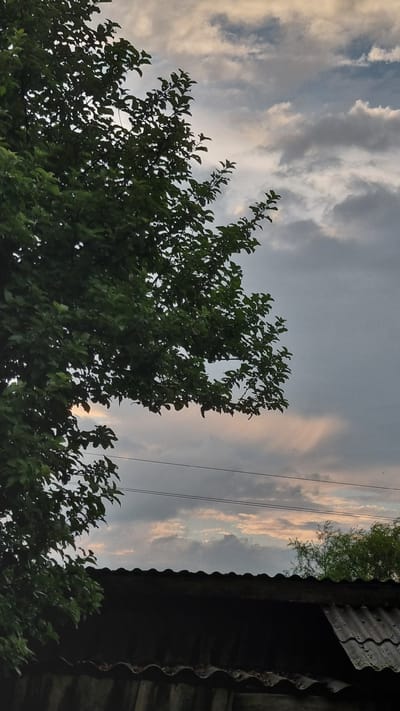 The image captures a segment of a cloudy sky with soft, diffused light, suggesting either early morning or late afternoon. The clouds are a mix of grey and lighter, almost pinkish hues, indicating potential for rain or the aftermath of a recent shower.
Dominating the foreground is the lush green foliage of a tree, its branches reaching upwards and partially obscuring the sky. The leaves are dense and vibrant, creating a stark contrast with the muted tones of the sky.
On the right side of the frame, a portion of a weathered, corrugated roof is visible. The material appears to be slate or a similar roofing product, showing signs of age and exposure to the elements. The roofline is dark and casts a shadow, further emphasizing the overcast conditions.
Several thin, dark lines are faintly visible crisscrossing the sky, likely power lines or utility wires, hinting at human habitation or infrastructure in the vicinity.
The overall mood is somewhat tranquil and contemplative, with the natural elements of the sky and tree balanced by the man-made structure. The scene is consistent with a rural or suburban setting in Vysokoe, Russia, where such compositions of sky, trees, and simple dwellings are common. No text is visible in the image.