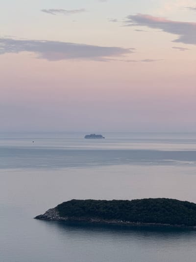 This media file depicts a serene seascape with a forested island jutting into the water. The island, densely covered in dark green trees, forms the right third of the image. The water surrounding it appears calm and reflects the soft, muted colors of the sky. In the distance, a large ship is visible, appearing as a small, dark silhouette against the horizon. The sky is a blend of soft pastel colors, transitioning from a pale pinkish hue on the left, possibly indicating dawn or dusk, to a lighter, almost white tone towards the center. Wispy clouds are scattered across the sky, adding texture and depth. The overall mood is tranquil and expansive. The scene is captured from a perspective that emphasizes the vastness of the water and the sky, with the island serving as a prominent natural element. There is no visible text in the image. The time of day is likely early morning or late evening due to the soft light and pastel sky colors. The weather appears to be calm and clear, with a slight haze possibly contributing to the diffused light.