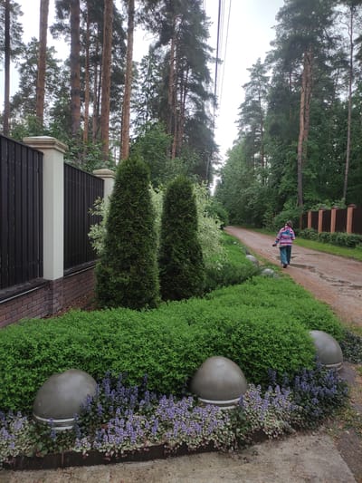 The image captures an outdoor scene. A paved path curves into the distance, where a person is walking. To the right of the path is a garden bed containing green shrubbery and plants with purple flowers. Spherical stone objects are interspersed within the garden bed. A fence runs along the left side of the path, transitioning to a gate or structure made of dark wood with white support beams. Tall pine trees line the left side, reaching high into the sky. The location is identified as Kratovo, Russia.