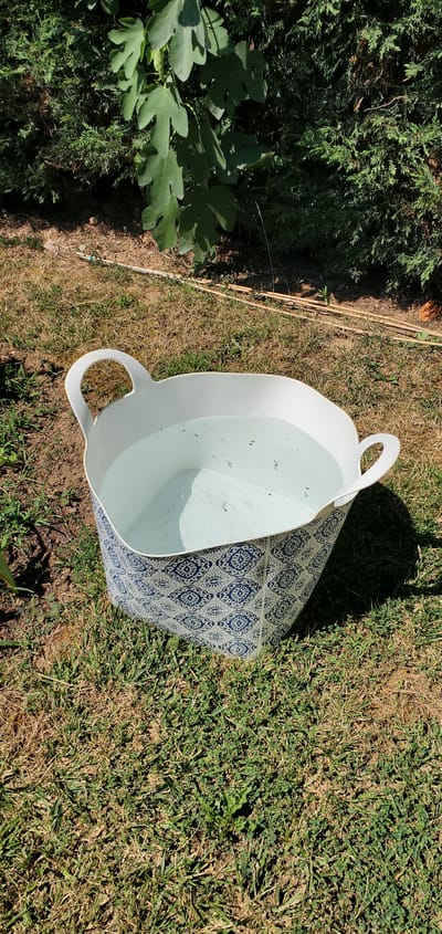 A wide shot captures a partially filled tub in an outdoor setting. The tub is white with a decorative blue and white pattern on its exterior. It has two prominent handles, one on each side, and contains a clear liquid, likely water. The tub sits on a patch of dry, green grass with some scattered dirt and weeds. To the left of the tub, a large green plant with broad leaves, possibly a fig tree, is visible, along with dense green foliage from a conifer. Several thin, light-colored stakes or poles are placed in the ground behind the tub, running parallel to each other. The scene is illuminated by bright sunlight, casting a distinct shadow from the tub onto the grass, suggesting it is midday or early afternoon. The setting appears to be a garden or backyard, with the vegetation indicating a natural environment. No people are visible in the image. There is no visible text. The overall impression is one of a peaceful, outdoor moment, possibly related to gardening or a temporary water-filled activity. The location context of Νέα Σάντα, Greece, suggests a warm climate.