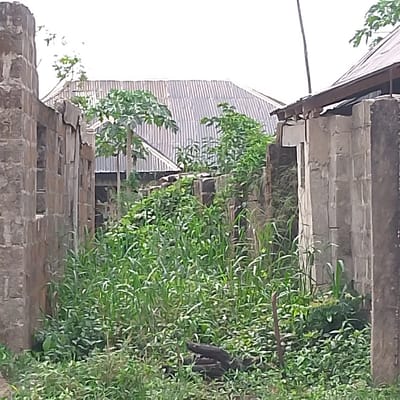 The image shows an overgrown alleyway between two unfinished concrete buildings in Adanisievbe, Nigeria, located at the coordinates 5.953 latitude, 5.705 longitude. The alley is filled with tall green weeds and bushes. The left building is partially built and has several windows. The right building is more complete and has a corrugated metal roof. There are no people in the image. The scene is captured in a close-up perspective, highlighting the overgrown vegetation and the unfinished state of the buildings.