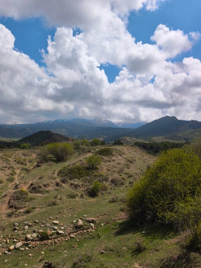 A picturesque, wide-angle shot captures a vast, rolling mountainous landscape in Jeti-Ögüz, Kyrgyzstan, under a bright, partly cloudy sky. The scene is devoid of people or visible text.
The upper third of the image is dominated by a vibrant blue sky dotted with large, fluffy white cumulus clouds, casting some soft shadows. In the mid-ground, a series of undulating hills stretches across the frame. Some of these hills are covered in dry, golden-brown grass, while others exhibit patches of lush green. Darker, forested slopes with dense evergreen trees are visible on the more distant hills and mountains, particularly towards the right. Far in the background, majestic snow-capped mountains rise, partially obscured by a light haze or clouds, adding depth to the scene. One distinct, reddish-brown hill stands out slightly to the left of the center.
The foreground features an uneven terrain of grassy slopes and exposed earth. Scattered rocks of various sizes are visible on the ground, and several narrow, winding dirt paths crisscross the landscape, suggesting foot traffic or erosion. Numerous green bushes, some small and some quite dense, are spread throughout the foreground and mid-ground, providing vibrant splashes of green against the earth tones.
The time of day appears to be late morning or early afternoon, with ample natural light illuminating the landscape. The weather is clear with scattered clouds, indicating a generally fair day with some cloud cover over the higher peaks. The overall impression is one of serene natural beauty and untouched wilderness.
