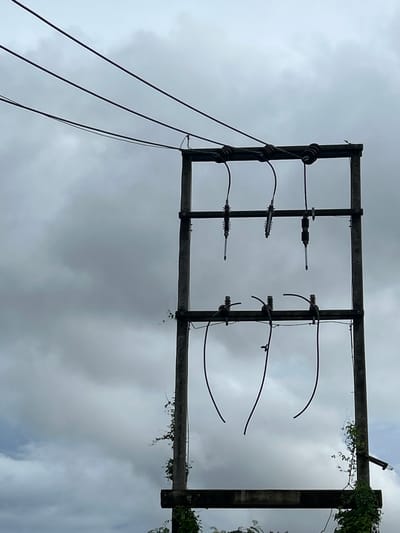 A low-angle, full shot captures a wooden utility pole against a cloudy sky in Ratsada, Thailand. The pole is part of an electrical infrastructure, with multiple wires strung between horizontal crossbars. Three sets of insulators are visible on the upper crossbar, each supporting a wire. Below these, on a lower crossbar, are more insulators and wires, some of which are dangling. Vines are growing on the pole, particularly on the right side, reaching up towards the crossbars. The overall impression is of an aged or partially maintained electrical setup under overcast conditions.