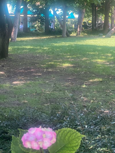 The image depicts an outdoor scene in Iași, Romania. In the background, several individuals are visible under structures, possibly playhouses or gazebos. One person in the mid-ground appears to be wearing a white shirt and khaki pants, and another person in the foreground left is wearing a white shirt. Trees with lush green foliage are scattered throughout the scene, casting shadows on the grassy ground. To the right, a cluster of pink flowers and green leaves are in focus, suggesting a garden or park setting. The sunlight filtering through the trees indicates it is likely daytime, possibly late afternoon given the dappled shadows. The overall atmosphere is peaceful and relaxed, with a hint of a pleasant summer day. There is no visible text in the image.