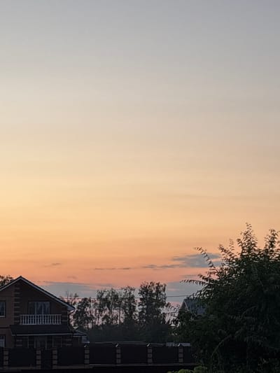 The image depicts a twilight scene in Alexandrovka, Russia. The sky is a gradient of pale blue to soft orange, indicating either sunrise or sunset. A tree with dark green foliage is visible in the upper right portion of the frame, its branches casting shadows and reaching across the sky. Below the tree line, the rooftops and upper floors of several houses are discernible. One house, in the foreground and to the right, has a dark brick facade and a white railing on its balcony. The overall mood is peaceful and serene, characteristic of a quiet evening or early morning. No people are visible in the image, and there is no discernible text.