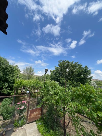The image depicts a lush, green garden area with a bright blue sky dotted with white clouds. In the foreground, there's a concrete pathway leading towards a rusty, metal gate. To the left of the gate, a cluster of vibrant pink roses is in bloom. The garden is enclosed by a wire fence and is filled with various plants, including trees and what appears to be a grape vine. A street lamp is visible on a pole in the middle ground. The background shows more greenery and a distant hill under the expansive sky. This scene is located in Uplistsikhe, Georgia.
