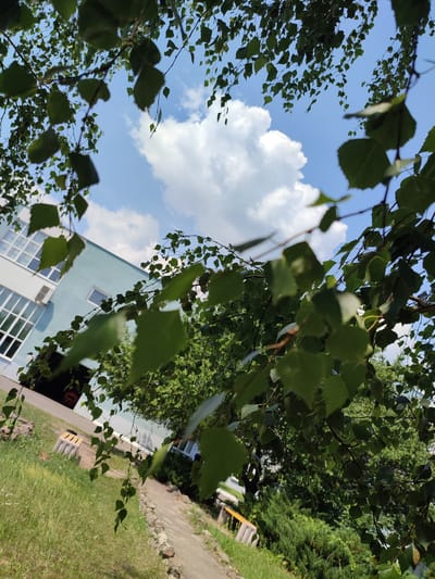 The image depicts a view looking upwards through the branches of a tree with green leaves, framing a bright blue sky with a large white cloud. In the background, a light blue, multi-story building with numerous windows and an air conditioning unit is visible. The ground in the foreground is covered with green grass and a paved pathway. The scene appears to be outdoors in an urban or semi-urban setting. The presence of a building and paved pathway suggests this could be a school, park, or other public area in Narowlya, Belarus. There are no people or animals visible in the image, and no specific actions or interactions are occurring. The lighting suggests it is daytime, possibly late morning or afternoon.