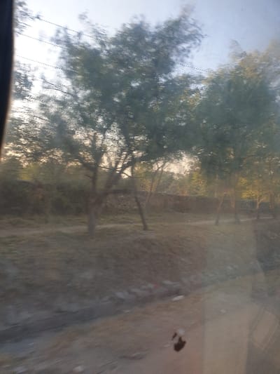A hazy outdoor scene, likely viewed through a windshield. The foreground is slightly obscured, possibly due to dirt or moisture on the glass. Trees line the left, their branches bare or sparsely leafed. A dirt road or path extends along the right side of the frame. The lighting appears soft, indicative of early morning or late afternoon. The overall scene conveys a sense of tranquility.