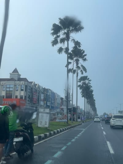 The image depicts a street scene in Pakulonan Barat, Indonesia, on a cloudy or foggy day. Tall palm trees line the right side of a wet asphalt road, creating a visual corridor. The left side of the road features a row of commercial buildings with a varied architectural style, featuring multiple stories, windows, and signage. One building has a prominent pointed roof. In the foreground on the left, a person wearing a green shirt and a black jacket stands next to a dark-colored motorcycle, with another person partially visible behind them. The motorcycle has a license plate that reads "B 6962 JSS 10 20". Several cars are visible on the road, driving in the same direction. The overall atmosphere is overcast, suggesting it might be raining or has recently rained, as evidenced by the wet road surface and reflections. Streetlights are visible in the distance.