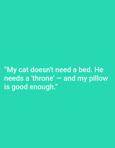 The image is a graphic with white text on a teal background. The text reads: "My cat doesn't need a bed. He needs a 'throne' — and my pillow is good enough." There is no indication of the city of Kępno, Poland, in the image.