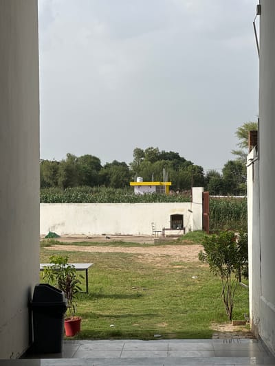 In Dhani Gaiskan, India, a ground-level view captures a scene framed by two concrete walls, suggestive of a corridor or entryway. The foreground is dominated by a black trash bin positioned to the left, beside a potted plant with green and red foliage. A grey, rectangular table is visible in the mid-ground, set on a grassy area. Beyond the grass, a white wall runs horizontally, topped by a lush green field of crops, likely corn, and further back, a line of trees. A small, yellow building with a white roof stands behind the crops. To the right of the white wall, a wooden gate is ajar, leading to more greenery and what appears to be a brick structure. The sky is overcast.
