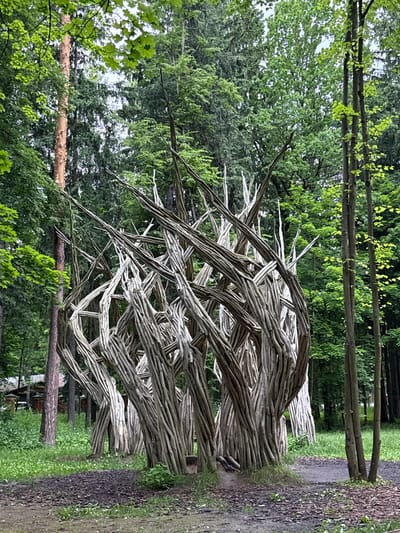The image depicts a large, intricate sculpture constructed from numerous intertwined branches. The sculpture is located in a forest clearing, surrounded by tall trees with lush green foliage. A path covered in mulch leads towards the sculpture, and in the background, a glimpse of a building structure can be seen amongst the trees, suggesting the location is near a settlement or park area. The overall scene conveys a sense of natural artistry within a woodland setting. The image appears to be taken in the city of Vnukovo, Russia, likely within a park or nature reserve.
