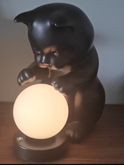 This media file showcases a dark, possibly black, ceramic lamp shaped like a cat. The cat figurine is depicted in a seated position, with its front paws reaching out towards a glowing, round light. The light source itself is a white, orb-shaped lamp, emitting a warm, diffused glow.

The cat figurine has distinct features: pointed ears, a small snout, and what appear to be sculpted eyes. The overall design suggests a playful or curious demeanor. The material of the figurine appears to be matte, absorbing light rather than reflecting it, which contrasts with the bright illumination from the orb.

The lamp sits on a flat surface, likely a wooden shelf or table, given the visible wood grain. The background is a plain wall, with the top portion appearing lighter in color and the lower portion slightly darker, possibly due to lighting conditions.

There is no activity or event depicted beyond the static presentation of the lamp. The time of day is indeterminate, but the glowing lamp suggests it could be evening or night, or a dimly lit indoor environment. No weather conditions are visible. The location context provided is Titovo, Russia, but there are no specific visual cues within the image to confirm this. No text is visible in the media file. The notable detail is the charming design of the cat lamp with its luminous orb.
