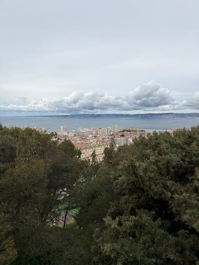 An elevated panoramic photograph depicts a sprawling urban landscape of Marseille, France, under an overcast sky. The foreground is dominated by dense, dark green evergreen trees and shrubs, obscuring the immediate ground plane. Through a gap in the foliage on the lower-left, a section of a green sports field, marked with white lines, is visible.

The midground reveals a densely packed cityscape characterized by numerous multi-story buildings, predominantly with light-colored facades (yellow, beige, white) and reddish-orange tiled roofs. Taller, more modern high-rise structures are concentrated closer to the coastline.

Beyond the urban area, the Mediterranean Sea occupies a significant portion of the background, appearing calm with a blue-grey hue that reflects the sky. The distant horizon features a low-lying, hazy landmass, likely hills or mountains. The sky above is entirely covered with thick, grey and white cumulus clouds, indicating a cloudy day. No individuals, specific actions, or interactions are discernible within the frame.