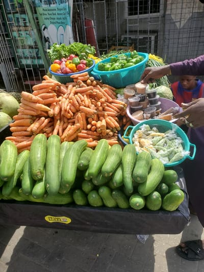This image captures a vibrant street market stall in Agani, Nigeria, bustling with fresh produce under bright daylight. A dark-skinned vendor, wearing a purple long-sleeved shirt and rings on their fingers, is actively engaged in arranging or attending to the goods. Another individual, possibly a child in a striped shirt, is partially visible in the background.
The stall prominently displays an abundance of fresh vegetables. Large piles of bright green cucumbers and orange carrots dominate the foreground, with the carrots neatly bundled together with rubber bands. Various other vegetables are arranged in blue and purple plastic baskets, including green, red, and yellow bell peppers, leafy green lettuce, and a head of cabbage. Another basket holds small plastic bags filled with what appear to be green beans or peas, and possibly shelled corn or similar grains. Adjacent to the vegetables, several small, clear plastic containers filled with different spices or powders are neatly arranged.
The scene is illuminated by strong natural light, casting distinct shadows on the paved ground, indicative of daytime. In the background, a metal fence and part of a building are visible, suggesting an urban market environment. A dark-colored fabric covers the display stand where the produce is laid out.
Visible text on a banner in the background advertises "Phone Accessories," listing various items such as "Original Charg," "Flash Drive," "Power Bank," "Memory Card," "Laptop Charger," "Airpods," "Mp3 Play," and "Original Phone Battery." A yellow sticker adhered to the display stand proudly reads "THE LABEL STORE."