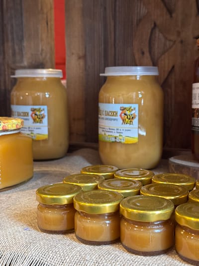 The image shows shelves containing jars of honey. Larger jars with white lids and labels written in Cyrillic are stacked alongside smaller jars with gold lids. The shelves are wooden, with a red support visible. The location, Novo-Nikol'skoe, Russia, is based on the Cyrillic text on the labels.