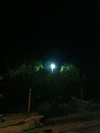 The image is a nighttime scene in Leușeni, Moldova, depicting a dimly lit outdoor area with dense vegetation and a solitary streetlamp. In the foreground, a stack of wooden planks is visible, their surfaces textured with a mix of red and green hues, suggesting a rough or weathered finish. Behind the planks, a thin, vertical wooden post stands upright, partially obscured by shadow. The middle ground is dominated by dark green foliage, forming a dense thicket that extends across the frame. A bright, white streetlamp is suspended from a thin wire, casting a stark illumination on a section of the leaves and a small, white pole it is attached to. The background is a deep, inky black, indicating the absence of any further discernible features or light sources beyond the immediate vicinity of the lamp. There are no people or animals present in the image, and no discernible actions or interactions are taking place. The overall atmosphere is one of quiet solitude and darkness, punctuated by the artificial light of the streetlamp.
