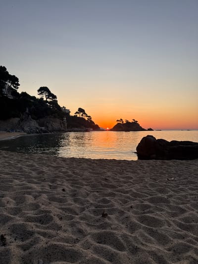 A scenic view of a beach at sunrise is captured in Castell d'Aro, Platja d'Aro i s'Agaró, Spain. The foreground features textured sand with ripples, leading the eye towards the tranquil sea. In the middle ground, a dark, large rock juts out of the water to the right, while the left side shows the calm water gently lapping the shore of a cove. The background is dominated by a rocky, tree-covered coastline with silhouetted pine trees and some buildings nestled amongst the foliage. To the right of the coastline, small islands covered in trees rise from the sea, with the sun just beginning to crest over them, casting a warm orange and yellow glow across the sky and reflecting on the water. The sky transitions from a pale blue at the top to soft oranges and yellows near the horizon, indicating early morning. There are no people or animals visible in the scene. The overall mood is serene and natural.