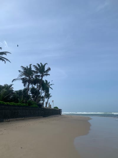 The image depicts a serene beach scene in Kathaluwa, Sri Lanka. The foreground is dominated by a wide expanse of light brown sand, marked with numerous footprints, indicating recent human activity. The sand transitions into the shallow, calm waters of the ocean on the right side of the frame, reflecting the clear, pale blue sky above.
Along the left side of the beach, a dark, wire-mesh fence runs horizontally, separating the sand from a lush green area. Behind the fence, several tall palm trees with characteristic fronds reach towards the sky. Among the palm trees, glimpses of buildings and closed beach umbrellas can be seen, suggesting a resort or hotel. The vegetation is dense and tropical.
The sky is a vast, unobstructed pale blue, with a few wispy white clouds scattered towards the left side. Two birds are visible in flight; one, a dark silhouette, is in the upper left quadrant of the sky, and another, smaller dark shape, is closer to the palm trees in the middle left of the image. The overall atmosphere is peaceful and tranquil, characteristic of a tropical beach environment.