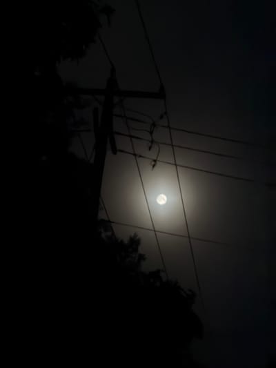 A full moon is visible in the night sky, partially obscured by overhead wires and silhouetted foliage. The scene is dark, with the moon being the primary light source. The environment appears to be an outdoor setting, possibly in a residential or semi-rural area, given the presence of utility wires. No people or specific landmarks are identifiable. The image conveys a sense of nighttime quietude.