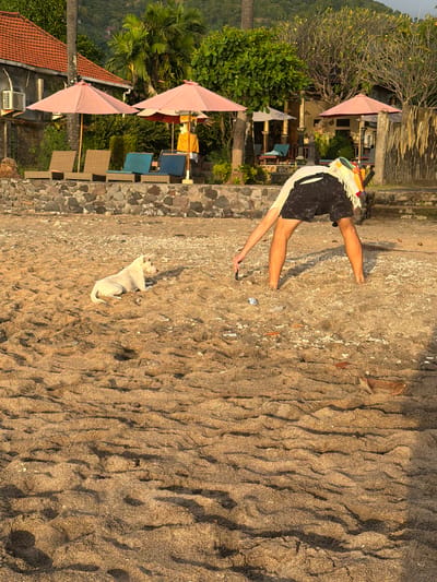 A low-angle, outdoor, full shot captures a person bent over on a sandy beach, seemingly picking up debris. The person, wearing black shorts and a white t-shirt with a colorful sarong draped over their back, is partially obscured by their pose. Their right arm is extended towards the sand, holding a dark object, possibly a phone. A white dog lies on the sand to the left of the frame, facing away from the person.

The beach is covered in fine, light brown sand with ripples and footprints. Scattered on the sand are small pieces of white shell fragments, brown leaves, and a piece of aluminum foil. Behind the beach, a low stone wall separates the sand from a manicured area with lounge chairs, pink umbrellas, and lush green vegetation. In the background, buildings with orange tiled roofs and palm trees suggest a tropical resort. The scene is bathed in the warm glow of sunlight, indicating it's likely late afternoon. The location appears to be a beach in Abang, Indonesia, given the architectural style, vegetation, and general atmosphere.