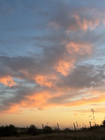 This is a photograph of a sunset over a rural landscape in the village of Zhibek Zholy, Kazakhstan. The sky is filled with dramatic clouds illuminated by the setting sun, casting warm hues of orange, pink, and yellow. The clouds are scattered across a gradient of blue sky, with darker clouds forming shadowed masses. In the foreground, a dry, grassy field is visible, bordered by a rustic fence made of wooden posts and wire. Sparse, dry vegetation and some low bushes are also present. A single bird is captured in flight against the vast sky. The horizon is marked by a distant, indistinct line of what appears to be low-lying buildings, suggesting a small settlement. The overall impression is one of a peaceful, natural scene at the end of the day.