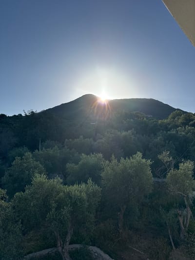 The image captures a serene landscape with the sun partially obscured by a hilltop, casting a bright glare and sunburst rays across the sky. The foreground is dominated by lush green trees, possibly olive trees, with their textured bark and foliage. A stone wall or pathway is visible at the very bottom of the frame. In the background, a gentle, tree-covered hill rises, with the sun peeking from behind its peak. The sky is a clear, bright blue, with the sun's intense light creating a lens flare effect. The scene appears to be located in a rural or semi-rural area, possibly within or near Sustaš, Montenegro, given the Mediterranean vegetation. There are no people or animals visible in the image. The overall impression is one of natural beauty and tranquility, likely at sunrise or sunset.